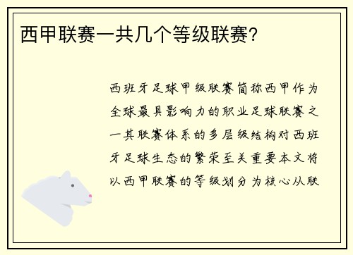 西甲联赛一共几个等级联赛？